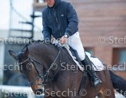 Dahila della Verdina Tosc Tour2013- S5 1785 : Arezzo, Cavalli d'Italia, Dahila della Verdina, Toscana Tour 2013, foto di Stefano Secchi ©